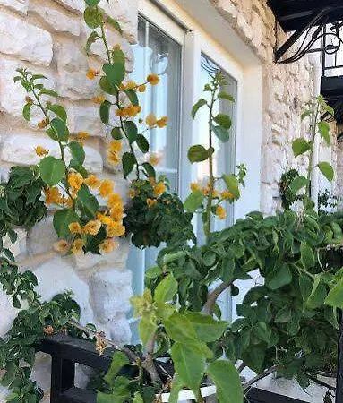 Bed and Breakfast Village Farm Boutique